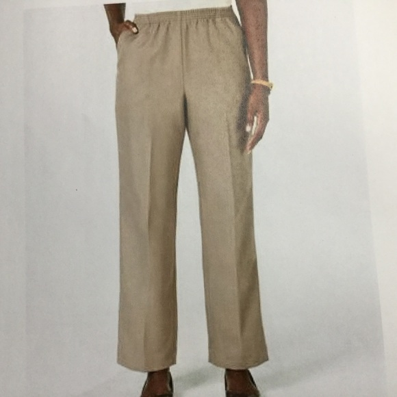 Karen Scott- Pull-on Pants- Brass Iron - Picture 1 of 6